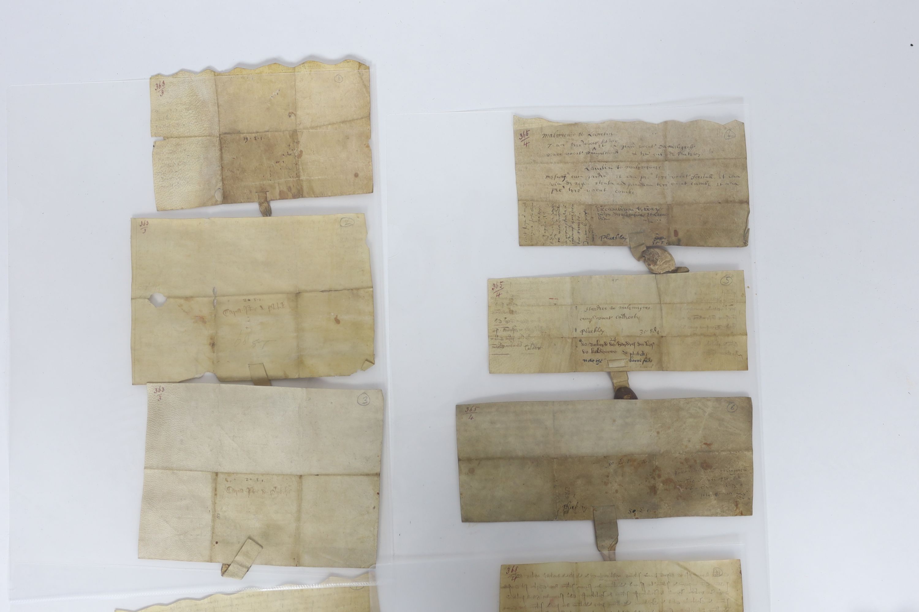 A Collection of deeds and documents relating chiefly to Kent, 1264-1654, from the collection of Thomas Godfrey Godfrey-Faussett (1829-1877)